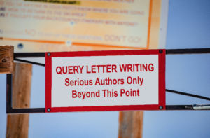 Query Letter Writing article image